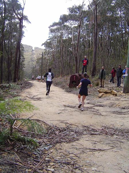 1a bush trail 088.jpg